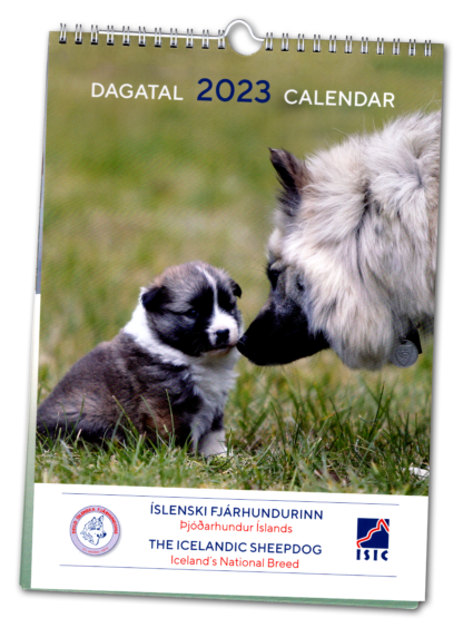 Calendar Dif 2023