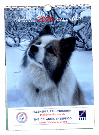 DIF - Calendar 2026 - Front